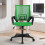 Green Mesh Office Chair with Lumbar Support and Armrests, 1