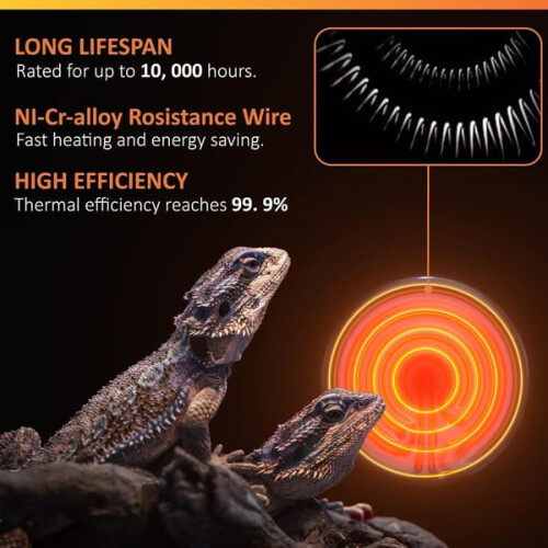 Συσκευασία 2 λαμπτήρων θέρμανσης 100W για terrarium, κεραμικός εκπομπός θερμότητας, 1