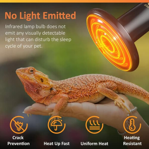 Συσκευασία 2 λαμπτήρων θέρμανσης 100W για terrarium, κεραμικός εκπομπός θερμότητας, 2