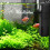 Aquarium Corner Filter Internal Pump 300L 4