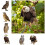 Owl Bird Repellent Hanging Scarecrow A5 2