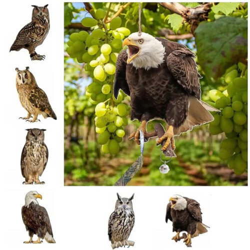 Owl Bird Repellent Hanging Scarecrow A5 1