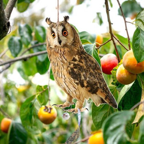 Owl Bird Repellent Hanging Scarecrow A5 2
