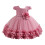 Vestido de Daminha de Honra em Tule Estilo Princesa 7M-4Y 1