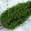 OUNONA model trees for train railway micro-landscape 20 pcs 6