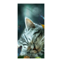 Strandhanddoek met kattenprint, katoen, 30x60 inch