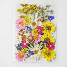 Dried Pressed Flowers for Resin Molds – 35 pcs Real