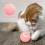 Cat Activation Ball Toy Pink 8