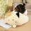 Cartoon Cat Pillow Soft Plump 60cm 2