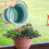 Pink Collapsible Bucket with Shower Nozzle 10L 6