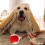 Smart Rolling Dog Chew Ball Interactive Toy Green 2
