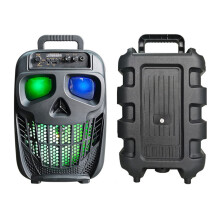 Skull Wireless Bluetooth Speaker 5.0 Portable Karaoke