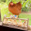 Wooden Parrot Perch Stand Khaki 1 Set 8
