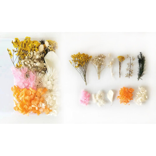 Αποξηραμένα λουλούδια μαργαρίτας για χειροτεχνίες και κοσμήματα