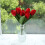 Artificial Silk Tulips Real Touch13inches 7