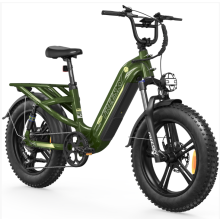 Freesky A320 Electric Bike 2500W Off-road 33MPH 48V 25AH