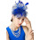 Bandeau bibi orné de rubans en maille fleurie et de plumes 4