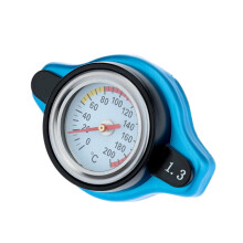 Universeller Heizkörperthermostat mit Wassertemperaturabdeckung