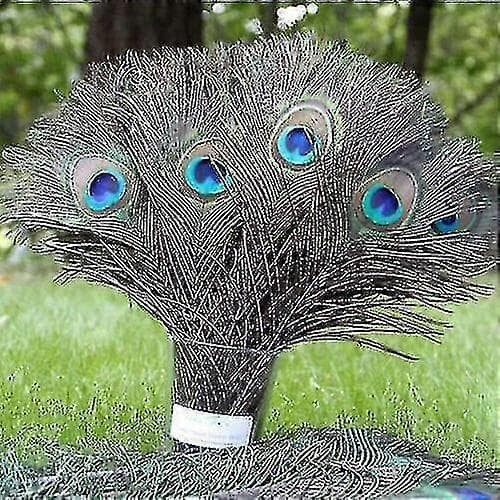 Peacock Feathers Natural 25-30 cm 100 pcs 1