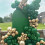 Green and Gold Balloons 129 pcs in assorted sizes 6