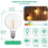 9Pcs G40 LED Replacement Light Bulbs, E12 Screw Base Shatterproof LED Globe Bulbs for Solar String Lights Warm White 2