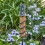 Rain Gauge Copper Floating Type for Garden Yard 4