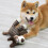 Donkey-shaped dog chew toy brown durable squeaky 4