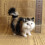 Simulation Cat Plush Toy Soft Stuffed Kitten Model One Size 6