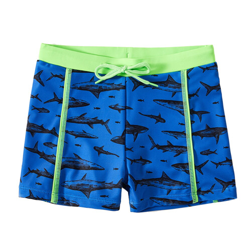 Boy's swim shorts quick-dry print beach trunks