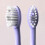 Ordo sonic toothbrush replacement brush heads with pulse 2