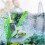 Mini portable aquarium air pump USB powered 4