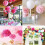 Tissue Paper Pompoms Mixed Colors 16 pcs 4