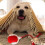 Smart Rolling Pet Ball for Cats and Dogs 1 pc 5