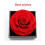 Boîte à collier de rose éternelle - Cadeau fleur éternelle (1 pièce) 6