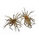 Simulačné nástrahy Urchins Baits Soft, pomaly plávajúce, 2 ks 1