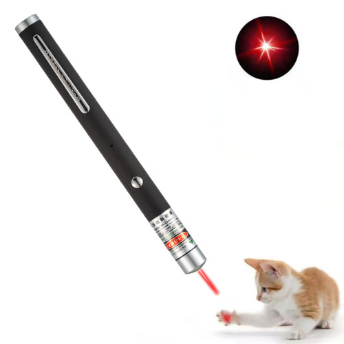 Krachtige laserpointer met metalen behuizing, model 1