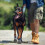 Waterproof Dog Shoes Large/Medium Rugged Sole 2