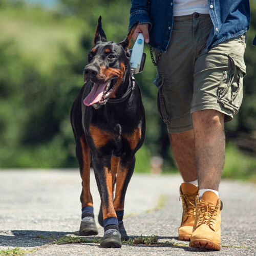 Waterproof Dog Shoes Large/Medium Rugged Sole 1