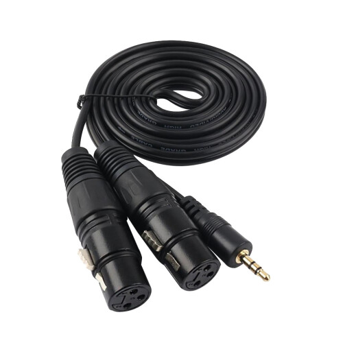 Στερεοφωνικό καλώδιο διπλού θηλυκού XLR Y splitter 3,5 mm 1