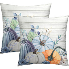Pompoen kussenhoezen 18x18 inch, set van 2, herfstachtige boerderijstijl