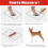 Botas com suspensórios para cães, refletivas e impermeáveis, tamanho XXL. 3