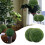 Sfera decorativa artificiale in bosso (2 pezzi) 4