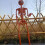 Græskarskeletdekoration Orange Halloween-ophæng 8