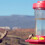 Hummingbird Feeder Replacement Flowers 10PCS 8