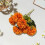 Liathróid Chrysanthemum Saorga Hydrangea 1PC 8