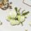 Liathróid Chrysanthemum Saorga Hydrangea 1PC 3