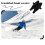 Insulated Boot Covers for Hunting and Skiing 2-Pack 8