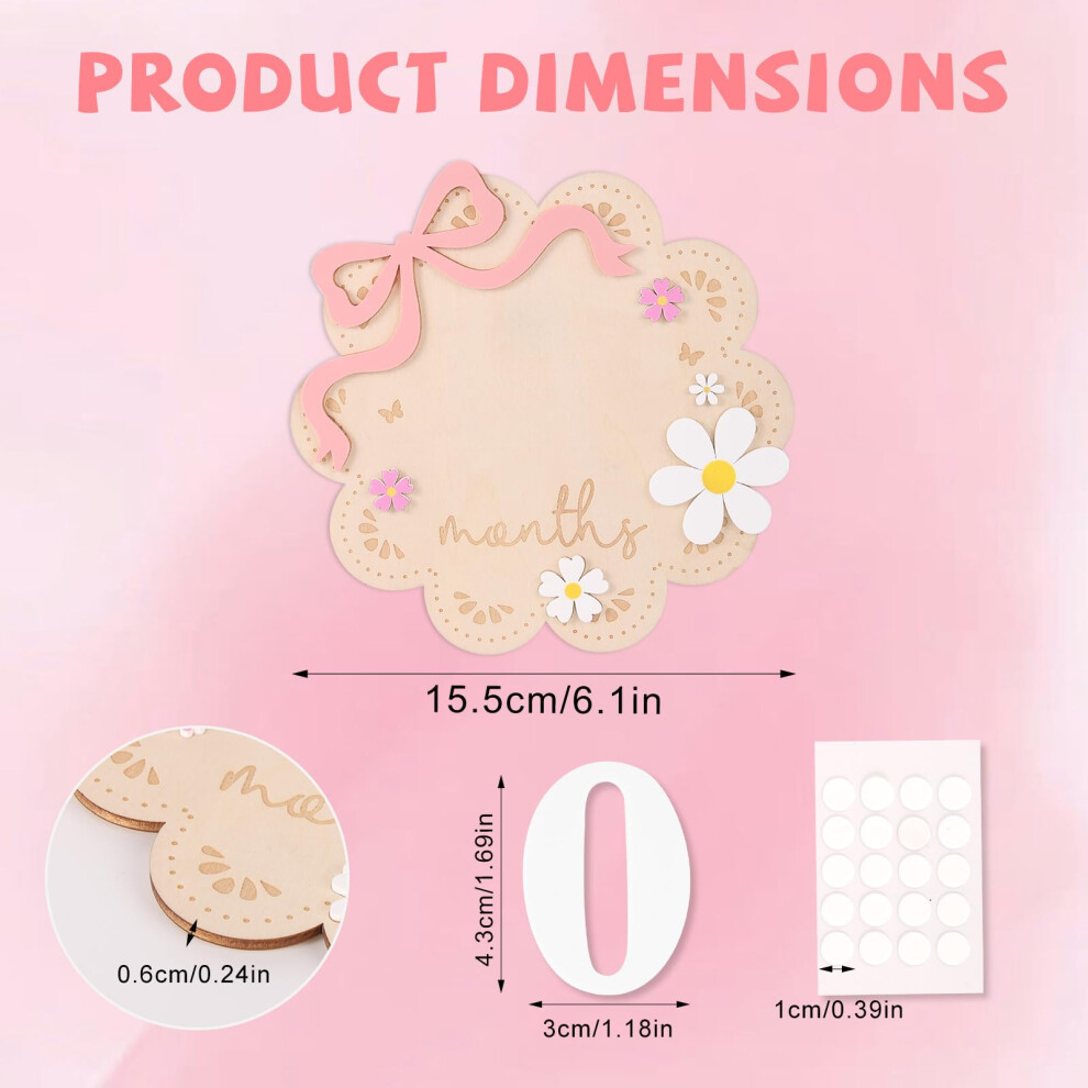 Fukaisu Baby Monthly Milestone Sign For Girl 112 Months Wooden Baby Milestone