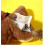 Interactive Flying Bird Cat Toy USB Rechargeable Brown 2