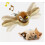 Interactive Flying Bird Cat Toy USB Rechargeable Brown 5